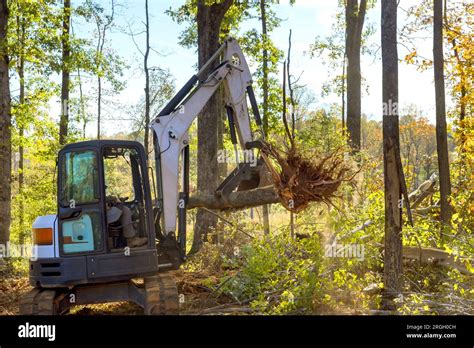 residential skid steer clearing land|tractor attachments for land clearing.